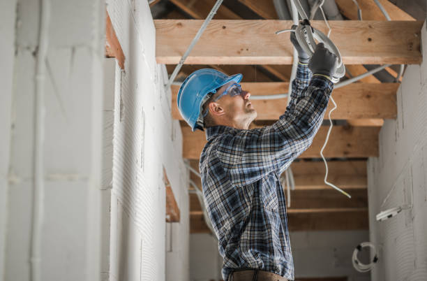 Best Electric Panel Repair  in Gladstone, MI